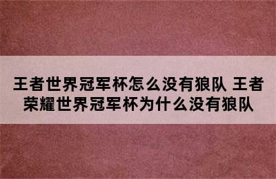 王者世界冠军杯怎么没有狼队 王者荣耀世界冠军杯为什么没有狼队